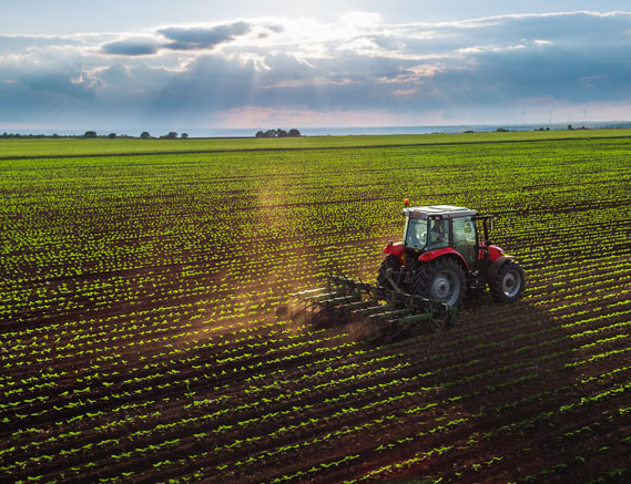 Agricultural Law