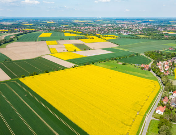 Agricultural Tenancies Solicitors