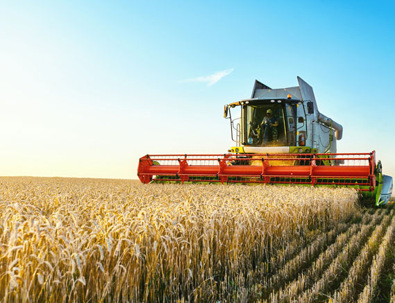 Buying or Selling Farms and Farmland