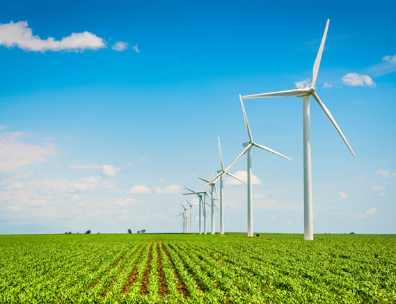 Wind Farm Projects